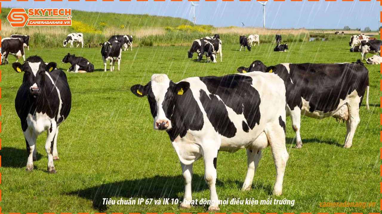 camera-hdcvi-dahua-ngoai-troi-co-dinh-dh-hac-hfw1509tlmp-led-s2-3