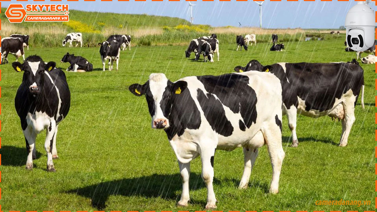 camera-hdcvi-dahua-ngoai-troi-xoay-360-dh-sd6ce225i-hc-2