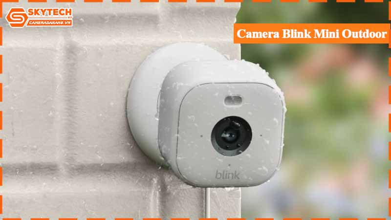 top-10-camera-dung-pin-lau-khi-khong-co-dien