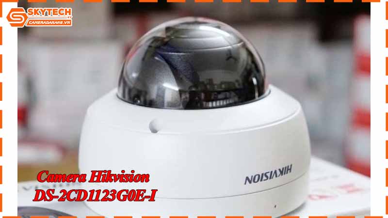 top-5-camera-gan-kin-dao-trong-hanh-lang-dai.jpg-3