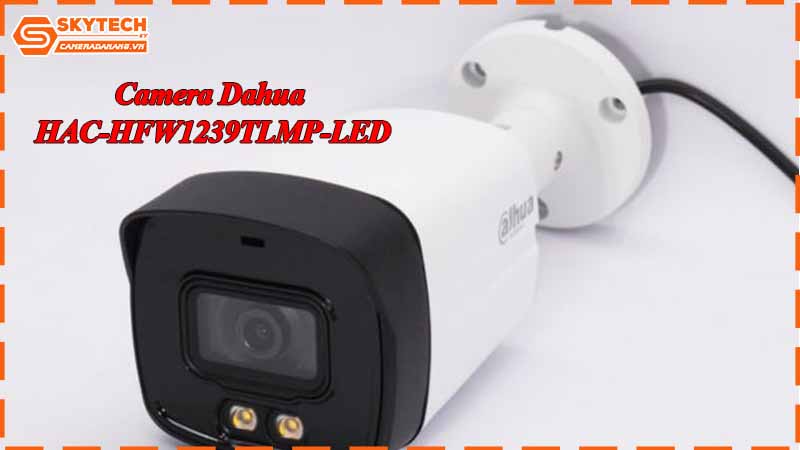 top-6-camera-co-bao-dong-khi-co-nguoi-la-vao-khuon-vien.jpg-2