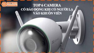 top-6-camera-co-bao-dong-khi-co-nguoi-la-vao-khuon-vien.jpg-8