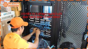 Có Nên Tự Lắp Đặt Mạng LAN Hay Thuê Đơn Vị Thi Công