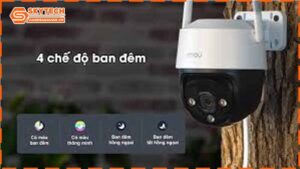 tu-van-vi-tri-lap-dat-imou-s31fep-giup-quan-sat-toi-uu-nhat