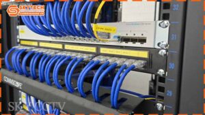 bao-lau-co-the-hoan-thanh-mot-he-thong-mang-lan-1