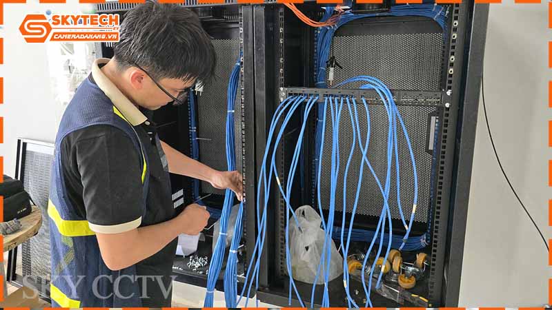 bao-lau-co-the-hoan-thanh-mot-he-thong-mang-lan