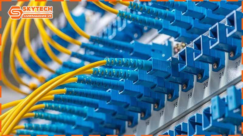 dau-hieu-nhan-biet-mang-lan-can-bao-tri-gap-2