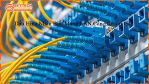 dau-hieu-nhan-biet-mang-lan-can-bao-tri-gap-3