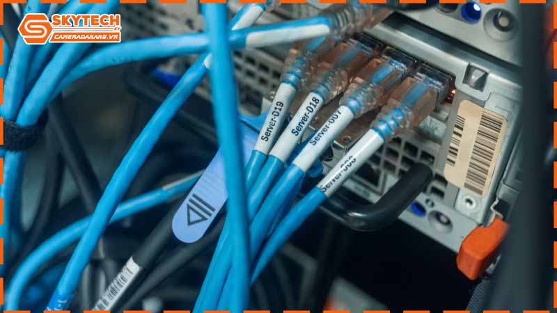 dau-hieu-nhan-biet-mang-lan-can-bao-tri-gap