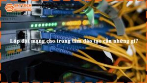 lap-dat-mang-cho-trung-tam-dao-tao-can-nhung-gi-2