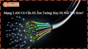 mang-lan-co-can-di-am-tuong-hay-di-noi-tot-hon-3