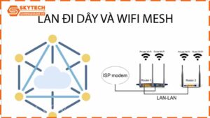 mang-lan-va-wifi-mesh-giai-phap-nao-tot-hon